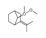 7,7-Dimethoxy-2-(1-methylethylidene)bicyclo[2.2.1]heptane picture