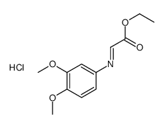 ethyl (3,4-dimethoxyphenyl)iminoacetate hydrochloride结构式