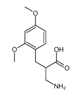2-(aminomethyl)-3-(2,4-dimethoxyphenyl)propanoic acid Structure
