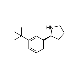 (S)-2-(3-(叔丁基)苯基)吡咯烷结构式