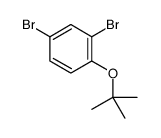 2,4-DIBROMO-1-(TERT-BUTOXY)BENZENE Structure