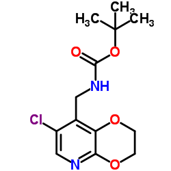 2-Methyl-2-propanyl [(7-chloro-2,3-dihydro[1,4]dioxino[2,3-b]pyridin-8-yl)methyl]carbamate结构式