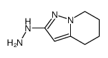 Pyrazolo[1,5-a]pyridin-2(1H)-one,4,5,6,7-tetrahydro-,hydrazone (9CI) Structure