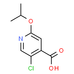 5-Chloro-2-(propan-2-yloxy)pyridine-4-carboxylic acid结构式