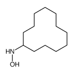 N-cyclododecylhydroxylamine Structure