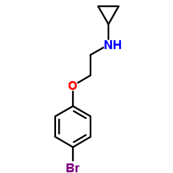 N-[2-(4-Bromophenoxy)ethyl]cyclopropanamine structure