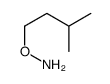 O-Isoamylhydroxylamine Structure