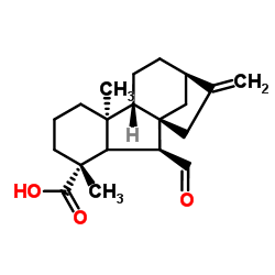 gibberellin A12 aldehyde结构式