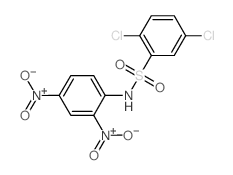 2,5-dichloro-N-(2,4-dinitrophenyl)benzenesulfonamide Structure