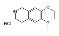 7-ethoxy-6-methoxy-1,2,3,4-tetrahydroisoquinolin-2-ium,chloride结构式