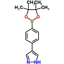 4-(4-(4,4,5,5-Tetramethyl-1,3,2-dioxaborolan-2-yl)phenyl)-1h-pyrazole结构式