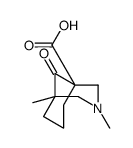 3-Azabicyclo[3.3.1]nonane-1-carboxylicacid,3,5-dimethyl-9-oxo-(9CI) Structure