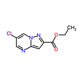 ethyl 6-chloropyrazolo[1,5-a]pyrimidine-2-carboxylate picture