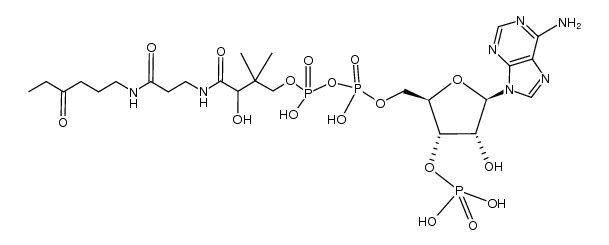Propionyl-carba(dethia)-Coenzym-A Structure