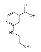 2-(Propylamino)isonicotinic acid结构式
