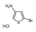 5-溴噻吩-3-胺盐酸盐结构式