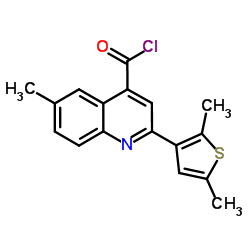 2-(2,5-Dimethyl-3-thienyl)-6-methyl-4-quinolinecarbonyl chloride结构式