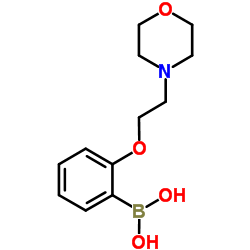{2-[2-(4-Morpholinyl)ethoxy]phenyl}boronic acid picture