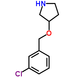 3-[(3-Chlorobenzyl)oxy]pyrrolidine结构式