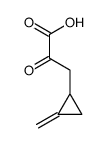 ketohypoglycin Structure