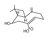 (1R,2S,4Z,9S)-2-Hydroxy-11,11-dimethyl-8-methylenebicyclo[7.2.0]undec-4-ene-4-carboxylic acid结构式