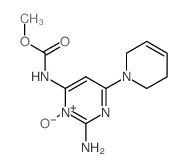 methyl (NZ)-N-[2-amino-6-(3,6-dihydro-2H-pyridin-1-yl)-3-hydroxy-pyrimidin-4-ylidene]carbamate结构式