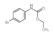 ethyl N-(4-bromophenyl)carbamate Structure