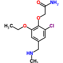 2-{2-Chloro-6-ethoxy-4-[(methylamino)methyl]phenoxy}acetamide结构式