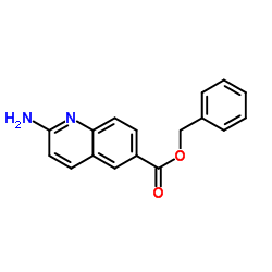 Benzyl 2-amino-6-quinolinecarboxylate picture