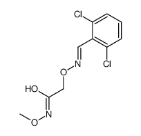 2-[(2,6-dichlorophenyl)methylideneamino]oxy-N-methoxyacetamide Structure