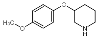 3-(4-methoxyphenoxy)piperidine Structure