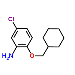 5-Chloro-2-(cyclohexylmethoxy)aniline结构式