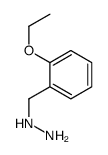 (2-ethoxyphenyl)methylhydrazine结构式