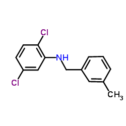 2,5-Dichloro-N-(3-methylbenzyl)aniline Structure