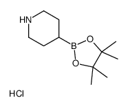 哌啶-4-硼酸频哪醇酯 HCl图片