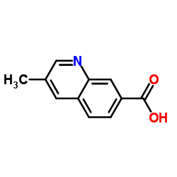 3-methylquinoline-7-carboxylic acid Structure