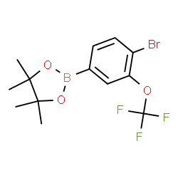 4-Bromo-3-(trifluoromethoxy)phenylboronic acid pinacol ester Structure