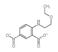 Benzenamine,N-(2-ethoxyethyl)-2,4-dinitro- Structure