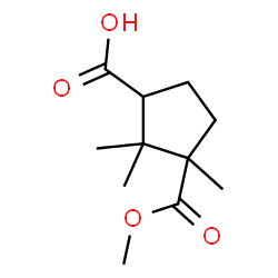 monomethyl camphorate Structure