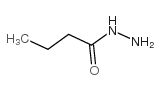 Butyric acid hydrazide picture