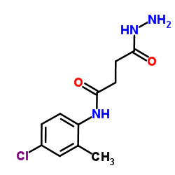 N-(4-Chloro-2-methylphenyl)-4-hydrazino-4-oxobutanamide结构式