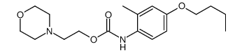 2-morpholin-4-ylethyl N-(4-butoxy-2-methylphenyl)carbamate Structure