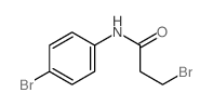 3-bromo-N-(4-bromophenyl)propanamide Structure