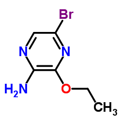 2-Amino-5-bromo-3-ethoxypyrazine picture