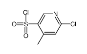 6-氯-4-甲基吡啶-3-磺酰氯结构式