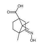 (3E)-3-(HYDROXYIMINO)-4,7,7-TRIMETHYLBICYCLO[2.2.1]HEPTANE-1-CARBOXYLIC ACID结构式