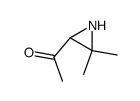 Ethanone, 1-(3,3-dimethyl-2-aziridinyl)- (9CI)结构式