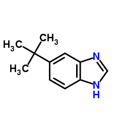 5-叔丁基苯并咪唑结构式