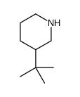 3-tert-butylpiperidine Structure