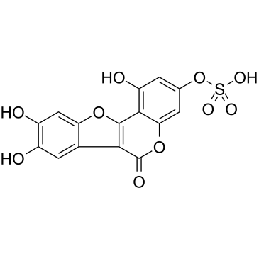 Demethylwedelolactone Sulfate structure